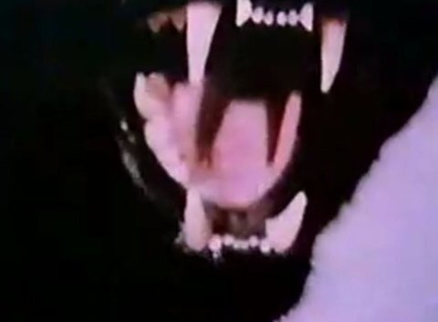 Bae Savage @baesavage cover picture