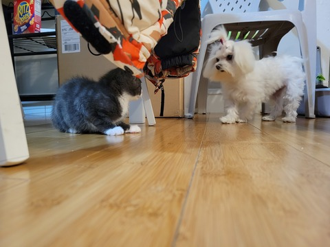 Beca @bahiabeca cover picture