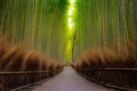 BakaTako @bakatako cover picture