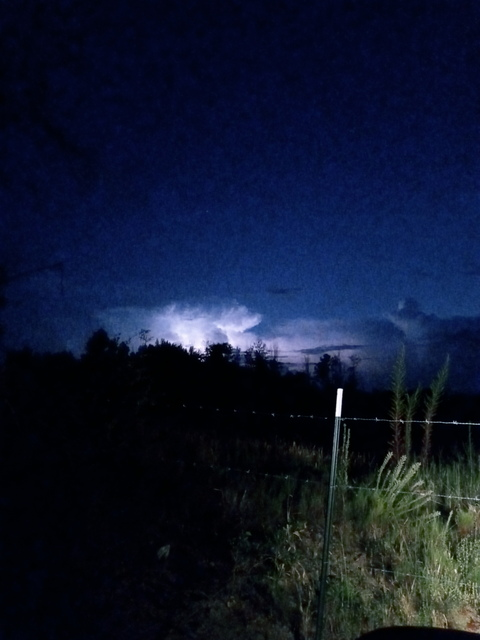 BamaBeauty777 @bamasweetheart90 cover picture