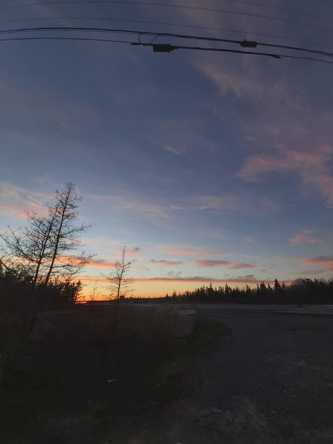 𝕭𝖆𝖓𝖉𝖟𝖔 𝕽𝖆𝖒𝖇𝖔 @bandzorambo cover picture