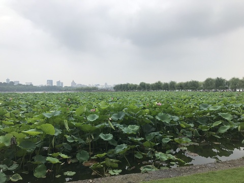 Barbie @barbarajane cover picture