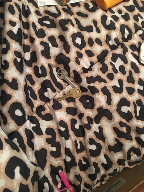 Chanta Jones @barbiejones cover picture