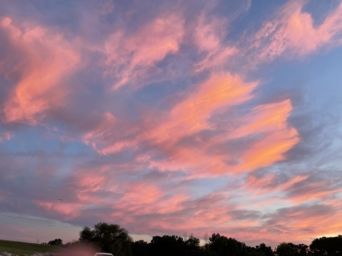 Hanna @barely.legal.brunette cover picture