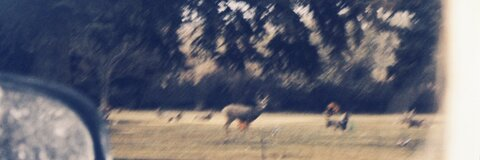 ᵗᵒᵈᵈ ᶠʳᵒᵐ ᵐᵃʳⁱᵒ ᶜᵃʳᵗ™️ @baristaheaux cover picture