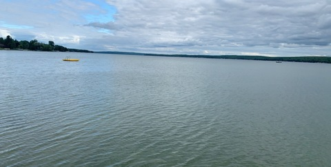 Madi @baristamadi cover picture