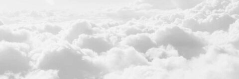 Sofi Barreiro @barreirosofia cover picture