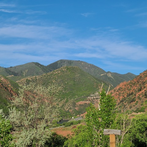 G @bassvibe cover picture