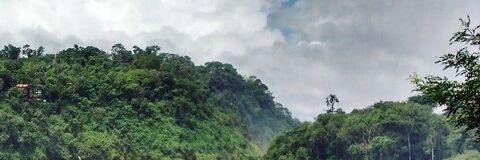 Bautista @bautista cover picture