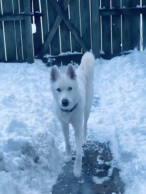 Awall @bbyale cover picture