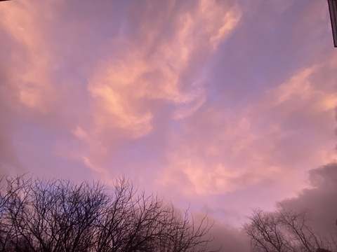 Bea* @bea89 cover picture