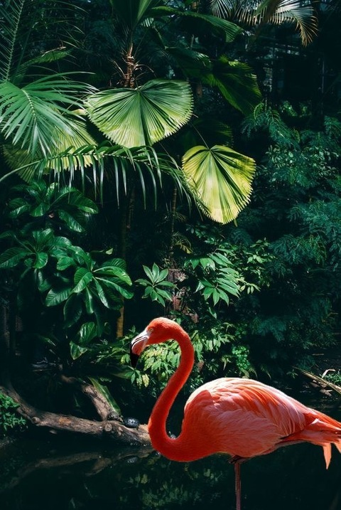 6lvcknmild @beachbum9419 cover picture