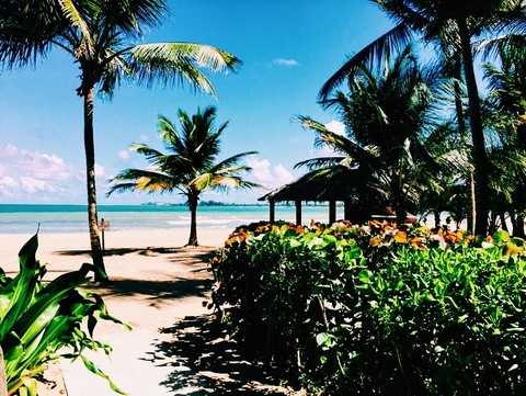 Alex @beachgirl1 cover picture