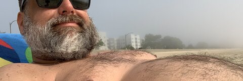 Big Bellied Bear @bearbellied cover picture