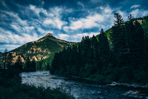 Beard @beardinthewoods cover picture