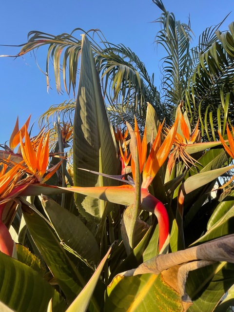 BabyMaeee @bebecitamae cover picture