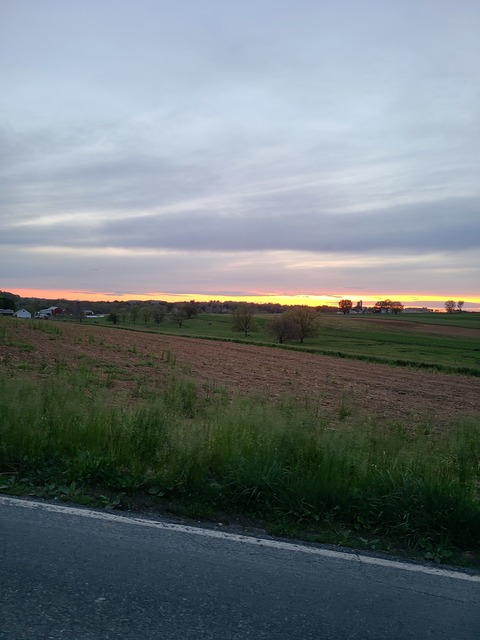 Beverly Bloom @bebloom cover picture