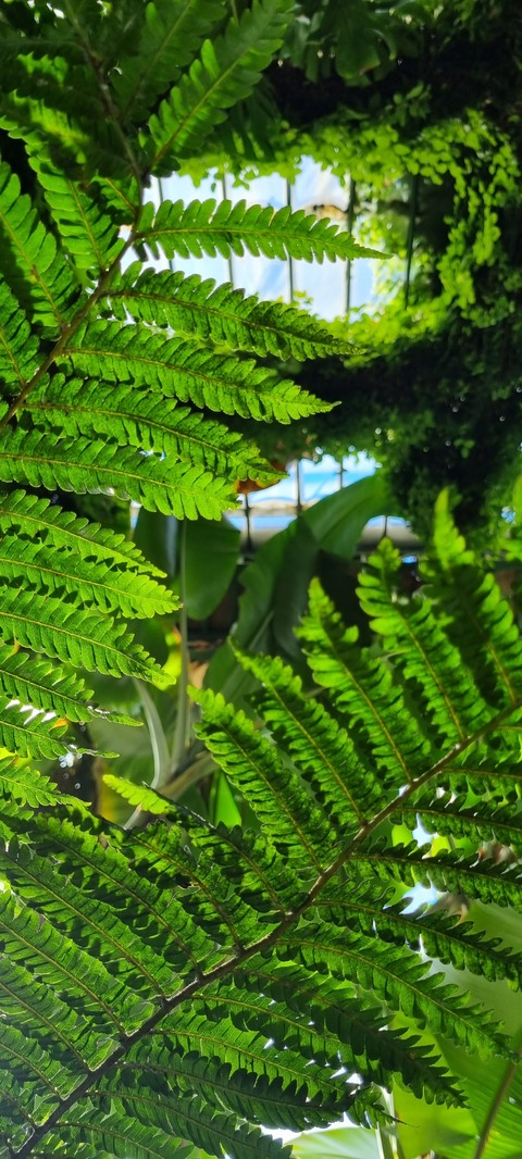 Isa @bed.bunny cover picture