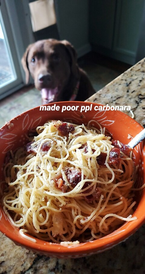 amanda @beefbottom cover picture