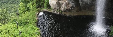 Beaner @behejjjshhbevgshud cover picture