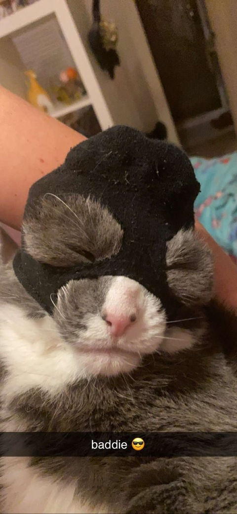 Bella x @bella.p cover picture