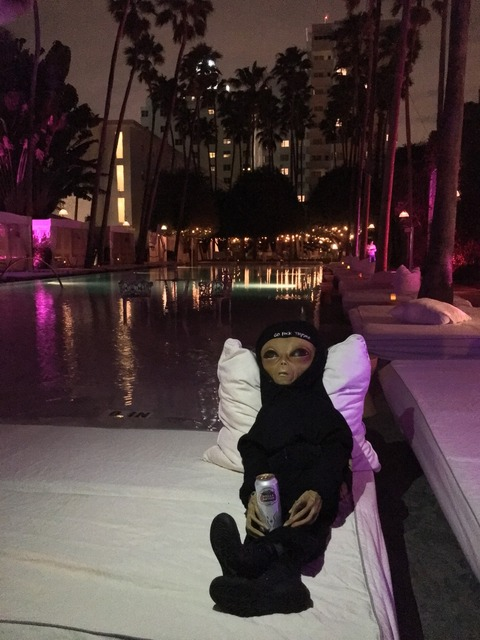 yin yang ☯️ @bellaisa cover picture