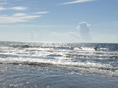 Belle Anne™️ @belleanne cover picture