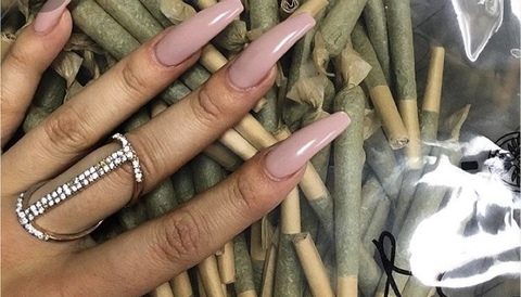 Belle May @bellemay cover picture