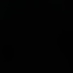 bellinghamsfinest Profile Picture