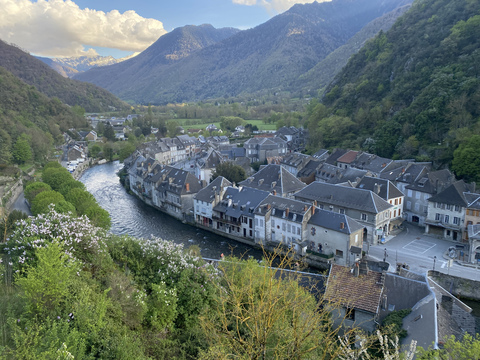 Belladona @bellladona cover picture