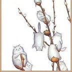 benjimanfood Profile Picture