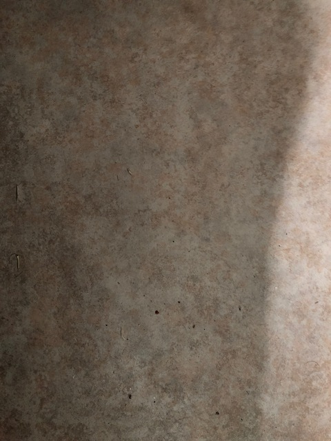 Benny @bennybeonyou cover picture