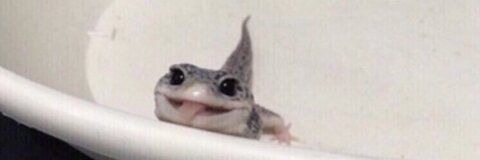 ॐ @betha cover picture