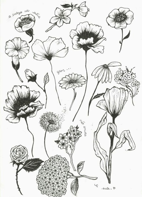 Beth @bethg cover picture