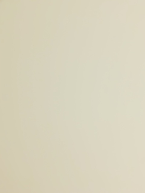 BadG @bhadghirlg cover picture