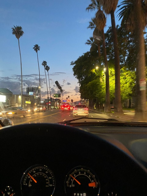 bianca marie @biancatheactivist cover picture