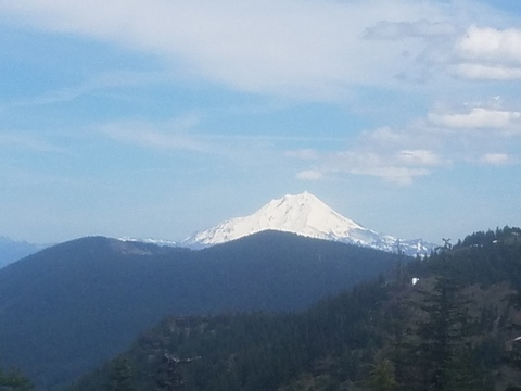 Brandon @bigdaddybeast19 cover picture