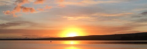 Davos ~ b @bigdavie1892 cover picture