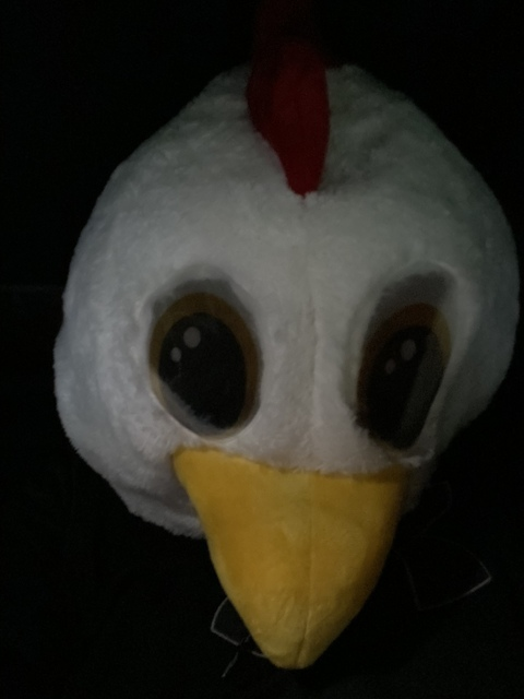 u64678435 @bigt1p cover picture