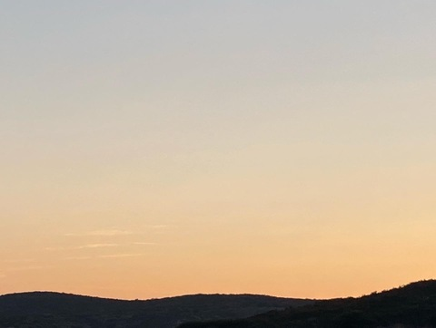 BigTDog @bigtdog94 cover picture