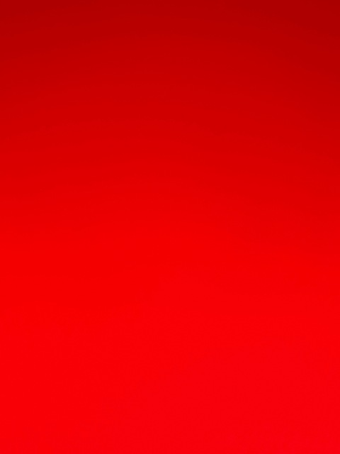 Laura @bigtittyloz cover picture