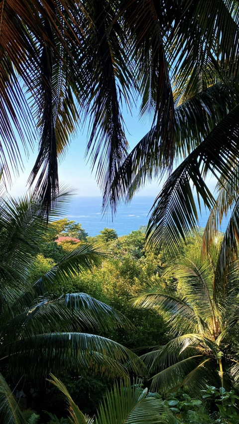 aud🥵 @biitchxiety cover picture