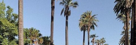 ada💦 @billielish cover picture