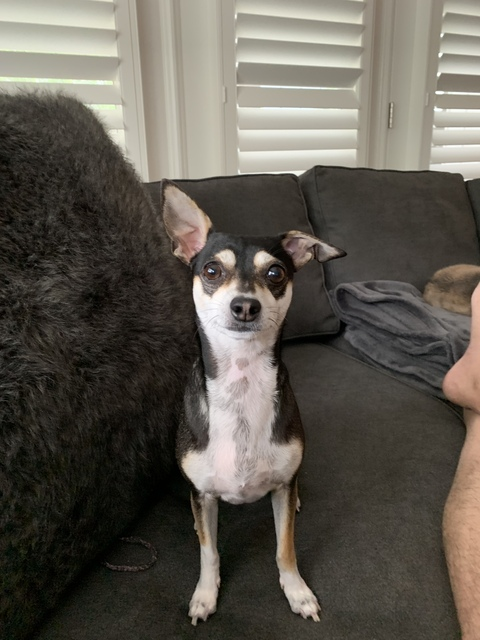 Binks @binks cover picture