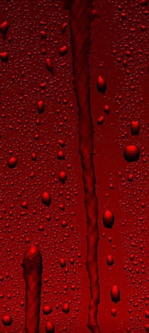 Annn @birmd cover picture