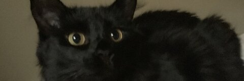 Birthy @birthy cover picture