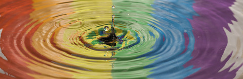 BiSum @bisum cover picture