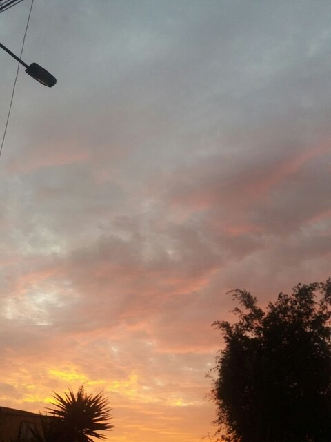 Angela Hurtado @bitchxoxo cover picture