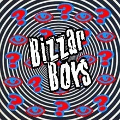 Bizzar Boys @bizzarboys cover picture