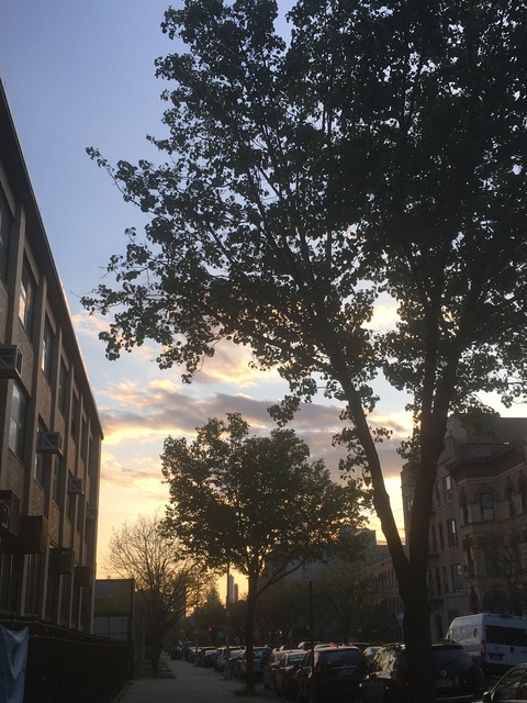 mags @blahmvitale cover picture